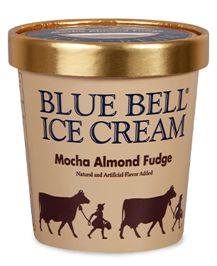Blue Bell Mocha Almond Fudge Ice Cream in pint